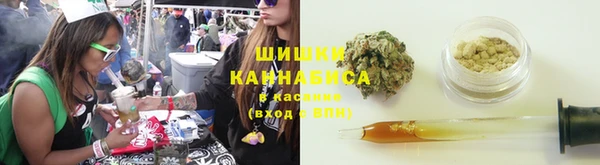 стафф Россошь