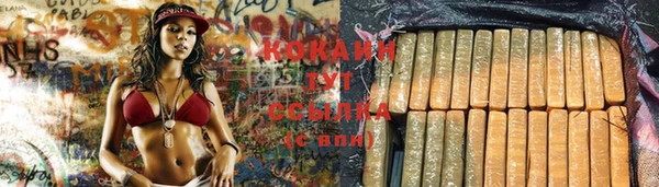 каннабис Арсеньев